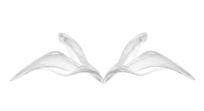 Vaporous white shapes, wing-like on black
