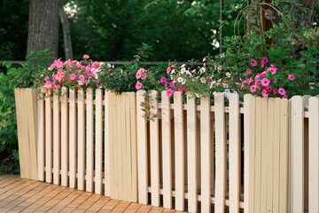 cottage core rustic back yard fence around floral flower bed blooming spring natural environment space sunny day time