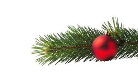 Christmas decoration with red bauble and pine branch