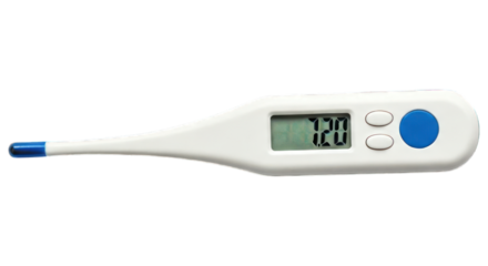 Digital thermometer with display