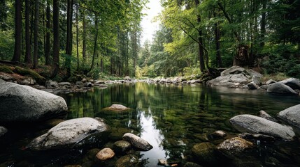 Forest river with rocks and reflections