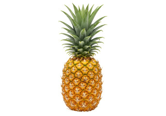 Isolated fresh whole pineapple with green leaves, tropical fruit, perfect summer snack