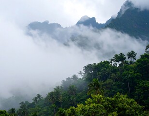 Misty mountain range over lush tropical forest