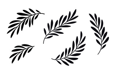 Olive branches, laurel twigs with leaves set