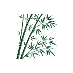 Obraz premium Dark green bamboo stalks and leaves illustration on white background