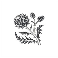 Stylized artichoke flower and buds illustration in black and white