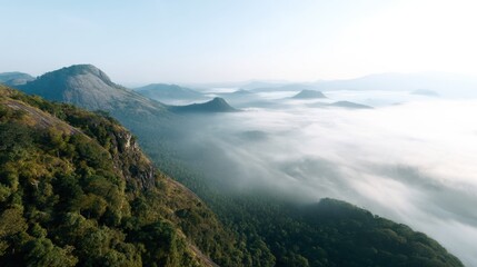 Fototapeta premium Breathtaking aerial view of mountain valley covered in morning mist, with lush green forests and distant peaks under clear blue sky