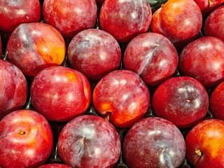 red plums with fiber to improve digestion