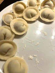 Homemade Dumplings on a Plate