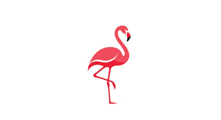 Elegant pink flamingo bird standing on one leg illustration.