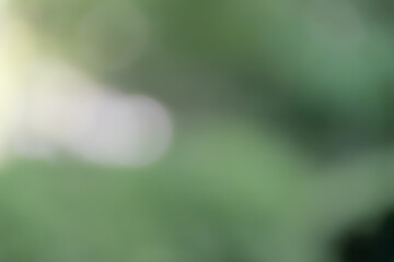 緑と光が溶け合う柔らかな抽象ぼけ背景