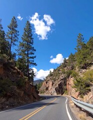 Mountain road winding through a pine forest on a sunny day