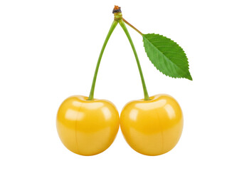 Isolated Rainier cherries with leaf, two sweet yellow cherries, ripe fruit, summer harvest