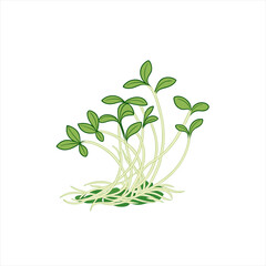 Illustration of green sprouts growing from seeds on a white background