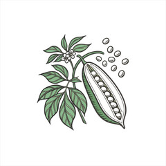 Illustration of a pea pod with leaves and flowers and scattered peas