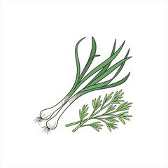 Illustration of fresh green onions and dill on a white background