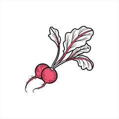 Two pink radishes with green leaves and red veins on a white background