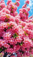 Floral Abundance A Profusion of Pink Blossoms Against a Serene Sky Displaying Nature's Delicate Beauty