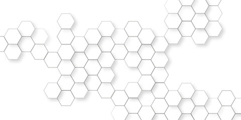 Abstract hexagon white Background light and shadow, minimalistic white hexagonal tile wall background with 3d depth effect for modern design, Soft white textures including paper.