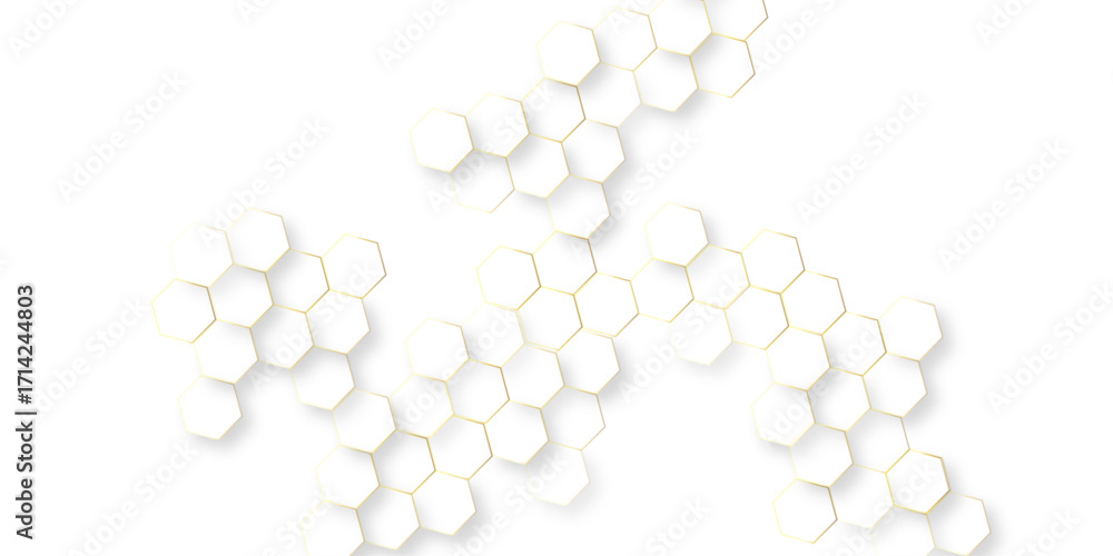 Canvas Prints abstract modern vector polygonal pattern, abstract white hexagon concept background soft white backg