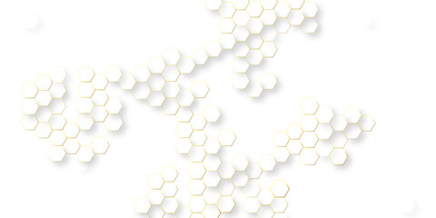 Abstract white hexagon background, abstract honeycomb background in grey color, futuristic honeycomb mosaic white background, illustration geometry science and technology.