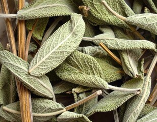Dried sage leaves close-up