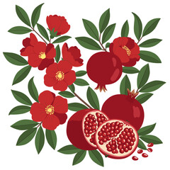 Pomegranate Botanical Illustration: Whole and Sliced Fruit with Red Flowers and Green Leaves on White