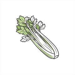 Fresh celery stalks with green leaves illustration on white background
