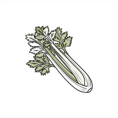 Illustration of fresh celery stalks with green leaves on a white background