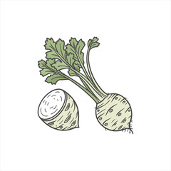 Celery root vegetable with green leaves and half cut