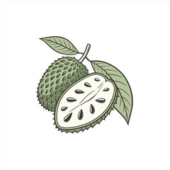 Illustration of a whole and halved soursop fruit with leaves