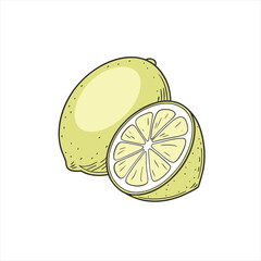 Hand drawn illustration of a whole lemon and a sliced lemon on a white background