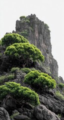 Rugged peak with vibrant green trees clinging to dark rock face