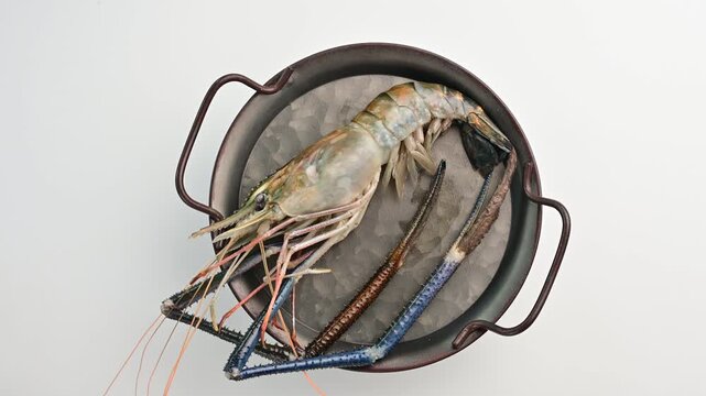 Raw river shrimp  prawn rosenberg