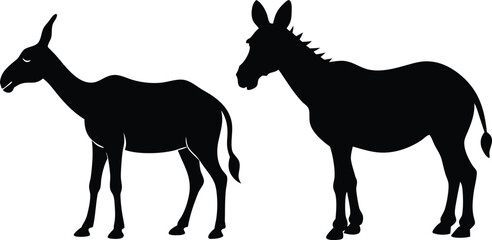 Fototapeta premium Donkey & camel silhouettes silhouette vector illustration