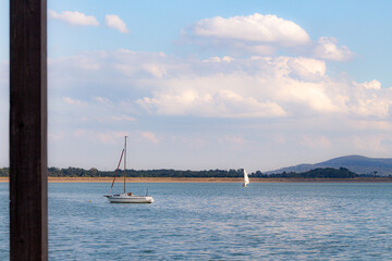 Obraz premium Sailboats glide peacefully on calm water under a clear blue sky in a serene natural setting