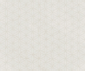 白い和柄の和紙テクスチャ背景素材