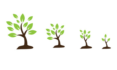 Plant growth stages in flower pots illustration. Four potted plants showing different growth stages, symbolizing development, progress, evolution, and natural growth over time.

