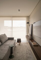 modern living room with sofa