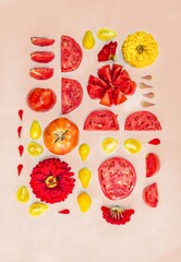 hand drawn fruit