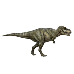 tyrannosaurus rex dinosaur 3d render