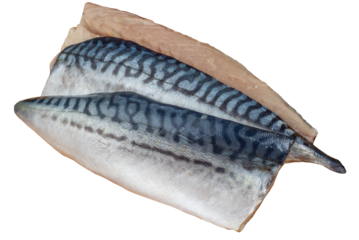 Three fillets of split mackerel