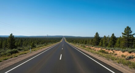 Empty highway stretches into a distant horizon, bordered by a coniferous forest.  Clear sky above