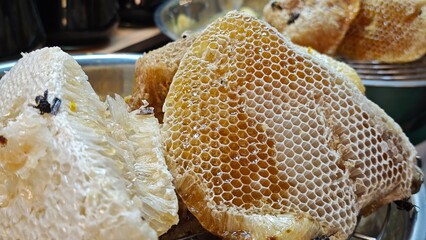 Honeycomb with beeswax and honey bees.