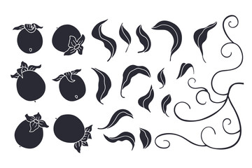 Persimmon hand drawn monochrome clipart set. Vintage black silhouette fruit and leaves bundle