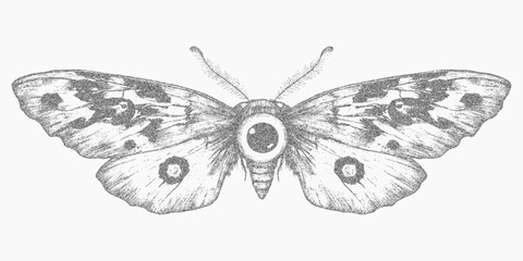 Moth print, tattoo style. Vintage brush mark with grain overlay, scratchy texture and abstract speckle dots, gritty halftone threshold and subtle dust.