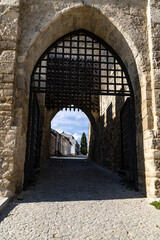 Naklejka premium Close-up. Medieval city gate. Interior of the stone Cracow Gate. Szydlow, Swietokrzyskie Province, Poland.