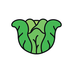 Cabbage icon in color with line for farm, vegetable, and organic projects.