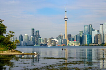 Obraz premium Paddleboards on Toronto's Inner Harbour with city skyline in background seen from Centre Island in fall room for text