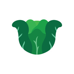 Cabbage icon in color for salad, cooking, and fresh market projects.